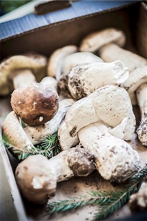 Fresh porcini mushrooms in a cardboard carton Stock Photo - Premium Royalty-Free, Code: 659-06671136