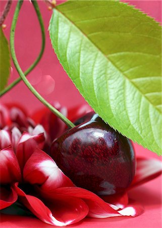 simsearch:659-07597339,k - A cherry with leaf Stock Photo - Premium Royalty-Free, Code: 659-06671607