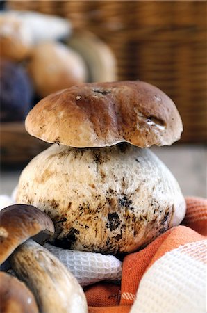 simsearch:659-02212217,k - Fresh porcini mushrooms Stock Photo - Premium Royalty-Free, Code: 659-06900904