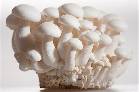 simsearch:659-03526248,k - White beech mushrooms (Buna-Shimeji mushrooms, Japan) Stock Photo - Premium Royalty-Free, Code: 659-06900969