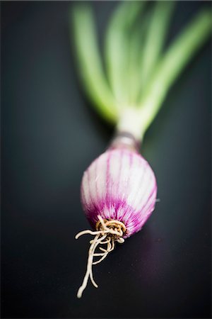 Red onion with green top Stock Photo - Premium Royalty-Free, Code: 659-06902274