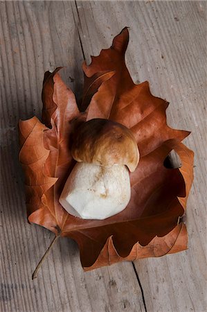 Fresh porcini mushroom on a dried autumn leaf Foto de stock - Sin royalties Premium, Código: 659-06902656