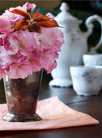 simsearch:659-06184015,k - Cherry Blossoms in a Vase with Antique Tea Setting in Background Stock Photo - Premium Royalty-Free, Code: 659-07026860
