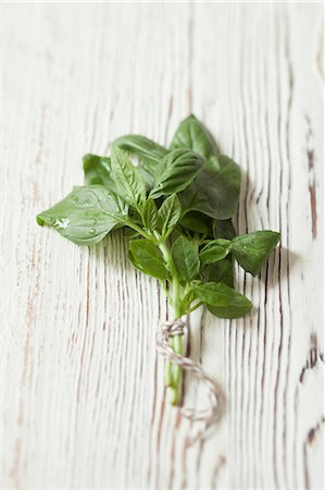 Basil Stock Photo - Premium Royalty-Free, Code: 659-07027569