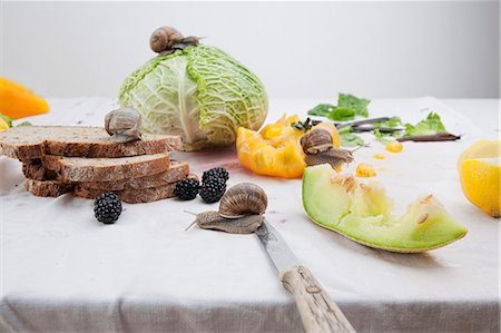 escargot - A still life featuring vegetables, fruit and bread, with snails moving freely over the different elements Stock Photo - Premium Royalty-Free, Code: 659-07027570