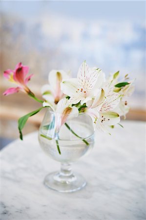 Peruvian Lilies in a Glass Vase on a Marble Table Stock Photo - Premium Royalty-Free, Code: 659-07027979