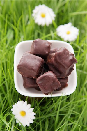 Filled chocolates on artificial grass Stock Photo - Premium Royalty-Free, Code: 659-07028116