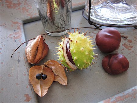 decoration - Sweet chestnuts and dried fruit as an autumnal decoration Stock Photo - Premium Royalty-Free, Code: 659-07597582