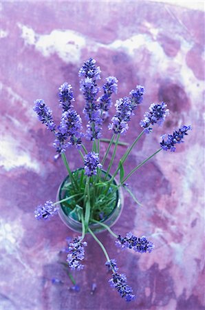 A bunch of lavender in a glass Stock Photo - Premium Royalty-Free, Code: 659-07598000