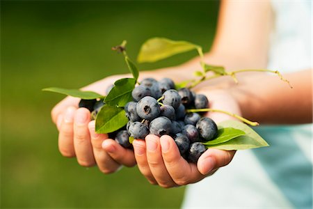 Blueberries held in a girl's hands Stock Photo - Premium Royalty-Free, Code: 659-07598245