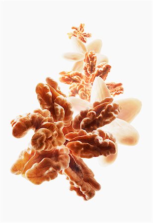 stars on white background - Walnuts and almonds forming a star shape Foto de stock - Sin royalties Premium, Código: 659-07599140