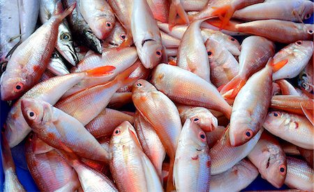 red snapper - Fresh whole red snapper at a market in Thailand Stock Photo - Premium Royalty-Free, Code: 659-07609680