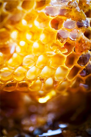 Close-up of honeycomb Photographie de stock - Premium Libres de Droits, Code: 659-07609693