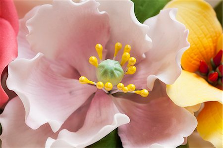 decoration - An artistic sugar flower Stock Photo - Premium Royalty-Free, Code: 659-07959488