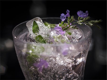 edible flower - An exotic drink made with cat nip and ice cubes (edible flowers and petals frozen in ice cubes) Stock Photo - Premium Royalty-Free, Code: 659-08147098