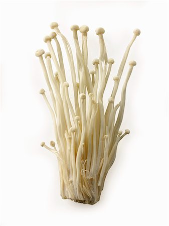 simsearch:659-03526248,k - Fresh picked cultivated Enokitake, Enokidake or Enoki (Flammulina velutipes) commonly known as golden needle mushroom or lily mushroom, an edible mushroom Stock Photo - Premium Royalty-Free, Code: 659-08895394