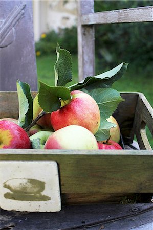 simsearch:659-07597339,k - Fresh apples in a wooden box on a garden chair Stock Photo - Premium Royalty-Free, Code: 659-08895757