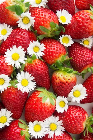 Strawberries and daisies Photographie de stock - Premium Libres de Droits, Code: 659-08896950