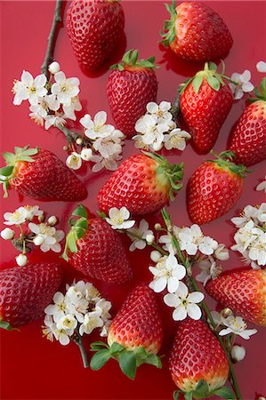 simsearch:659-06184015,k - Strawberries and sloe blossoms Stock Photo - Premium Royalty-Free, Code: 659-08896951