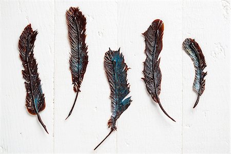 simsearch:6113-07790394,k - Five chocolate feathers Stock Photo - Premium Royalty-Free, Code: 659-08905130