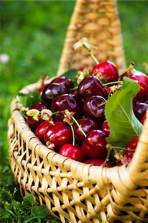 simsearch:659-07597339,k - Cherries in a basket Stock Photo - Premium Royalty-Free, Code: 659-08906017