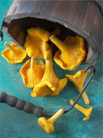 Freshly picked chanterelle mushrooms in a wooden bucket Stock Photo - Premium Royalty-Free, Code: 659-08906675
