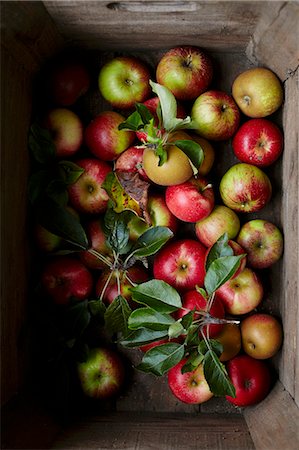simsearch:659-07069466,k - A crate of fresh apples Photographie de stock - Premium Libres de Droits, Code: 659-08940802