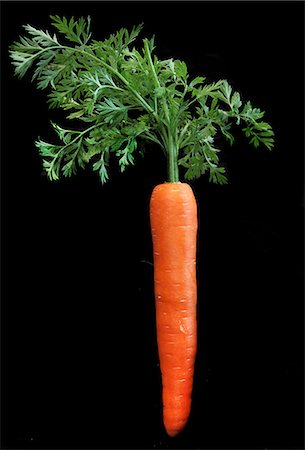 simsearch:659-07609605,k - A carrot with tops against a black background Stock Photo - Premium Royalty-Free, Code: 659-09125849