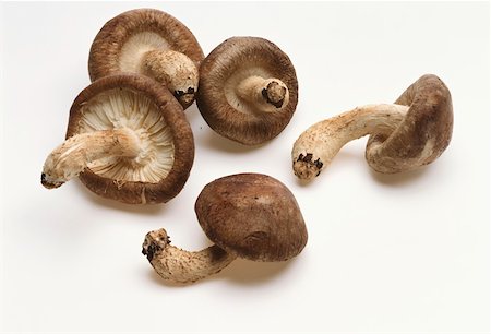 simsearch:659-03526248,k - Fresh shiitake mushrooms Stock Photo - Premium Royalty-Free, Code: 659-01844297