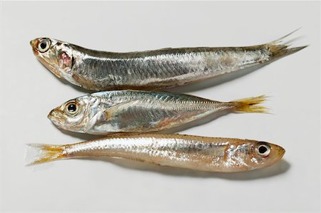 Small sandsmelts and anchovy Stock Photo - Premium Royalty-Free, Code: 659-01844483