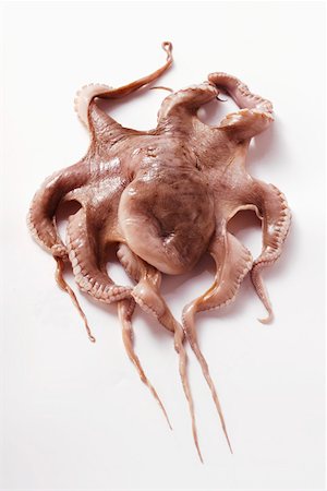 Fresh octopus Stock Photo - Premium Royalty-Free, Code: 659-01844707