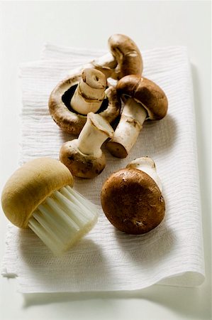 simsearch:659-03526248,k - Fresh shiitake mushrooms with brush Stock Photo - Premium Royalty-Free, Code: 659-01848017