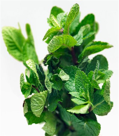 peppermint - Fresh mint Stock Photo - Premium Royalty-Free, Code: 659-01848297