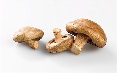 simsearch:659-03526248,k - Three shiitake mushrooms Stock Photo - Premium Royalty-Free, Code: 659-01854189