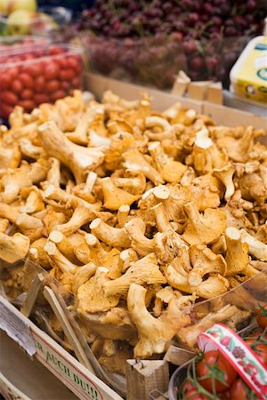 simsearch:659-02212217,k - Fresh chanterelles in a crate at a market Stock Photo - Premium Royalty-Free, Code: 659-01857640