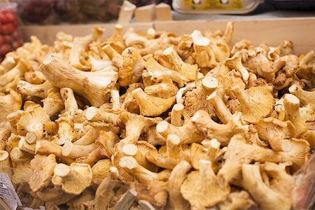 simsearch:659-02212217,k - Fresh chanterelles in a crate at a market Stock Photo - Premium Royalty-Free, Code: 659-01858831