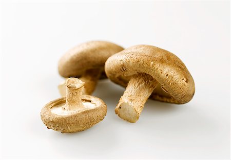 simsearch:659-03526248,k - Three shiitake mushrooms Stock Photo - Premium Royalty-Free, Code: 659-01850124