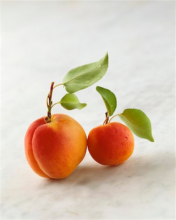 Two Wachau apricots Stock Photo - Premium Royalty-Free, Code: 659-01850445