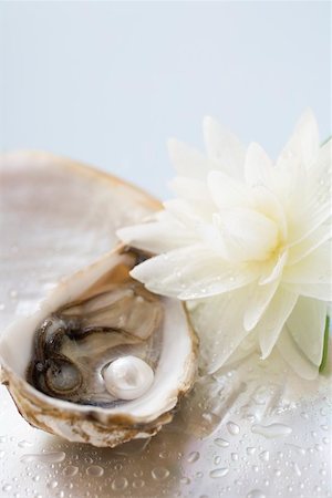 rare (unusual) - Fresh oyster with pearl, white water lily beside it Stock Photo - Premium Royalty-Free, Code: 659-01866532