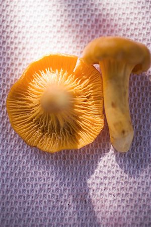 simsearch:659-02212217,k - Two chanterelles on cloth Stock Photo - Premium Royalty-Free, Code: 659-01861160