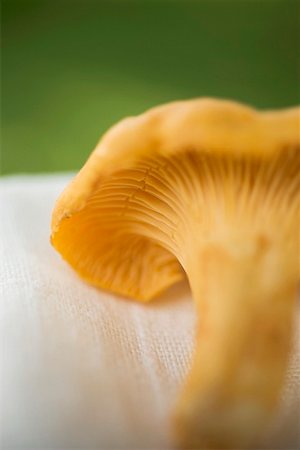 simsearch:659-02212217,k - A chanterelle on cloth Stock Photo - Premium Royalty-Free, Code: 659-01861163