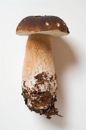 simsearch:659-02212217,k - Fresh cep with soil Stock Photo - Premium Royalty-Free, Code: 659-02212194