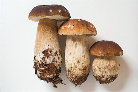 simsearch:659-02212217,k - Three ceps side by side Stock Photo - Premium Royalty-Free, Code: 659-02212195