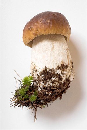 simsearch:659-02212217,k - Fresh cep with soil and moss Stock Photo - Premium Royalty-Free, Code: 659-02212196