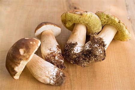 simsearch:659-02212217,k - Four freshly picked ceps on wooden background Stock Photo - Premium Royalty-Free, Code: 659-02212215