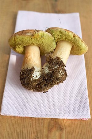 simsearch:659-02212217,k - Two freshly picked ceps on kitchen roll Stock Photo - Premium Royalty-Free, Code: 659-02212216
