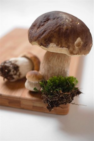 simsearch:659-02212217,k - Fresh ceps with moss on chopping board Stock Photo - Premium Royalty-Free, Code: 659-02212210