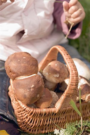 simsearch:659-02212217,k - Small girl with a basket full of freshly picked ceps Stock Photo - Premium Royalty-Free, Code: 659-02212221