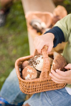 simsearch:659-02212217,k - Small boy holding a basket full of ceps in a wood Stock Photo - Premium Royalty-Free, Code: 659-02212223