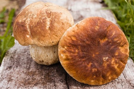 simsearch:659-02212217,k - Two ceps on wooden board Stock Photo - Premium Royalty-Free, Code: 659-02212256